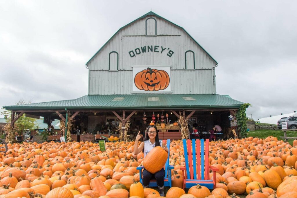 Stop by Pumpkinfest at Downsview Park