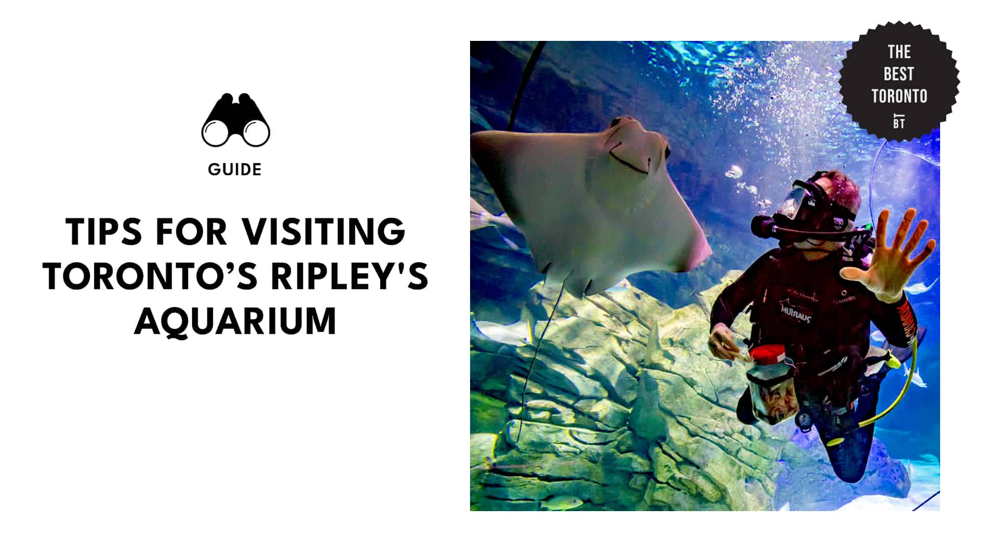 TIPS FOR VISITING TORONTO’S RIPLEY’S AQUARIUM
