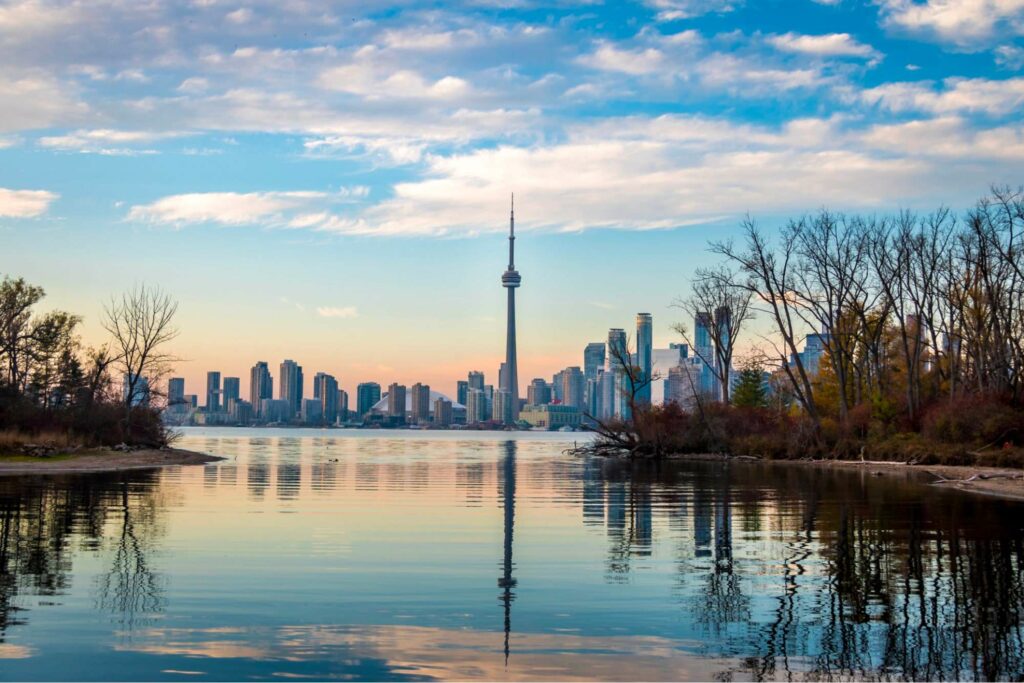 Take in the view of the city skyline
