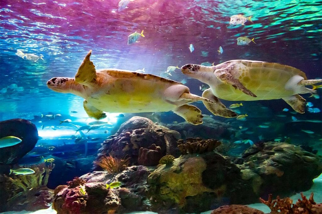 Take your time in exploring the exhibits