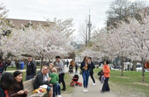 Trinity Bellwoods Park