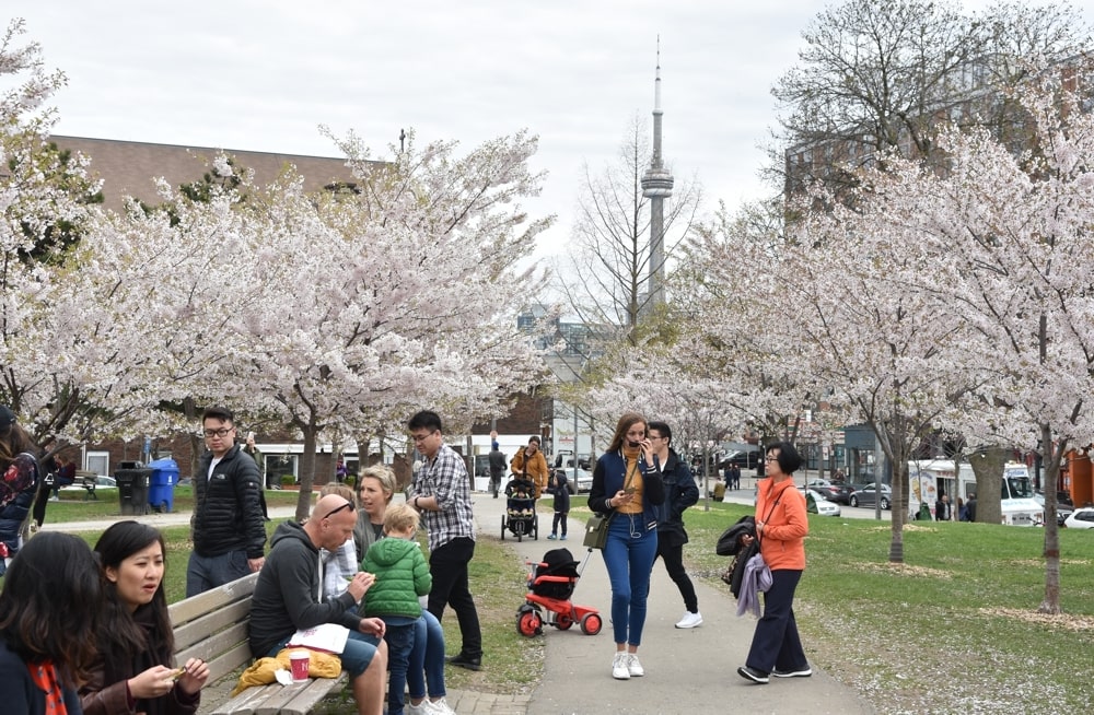 Trinity Bellwoods Park