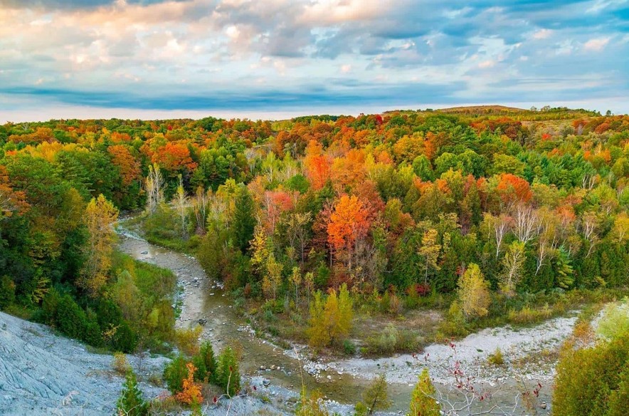 Visit Rouge Park