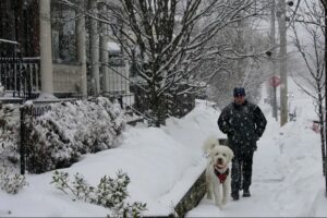Weather in Philadelphia vs. Toronto