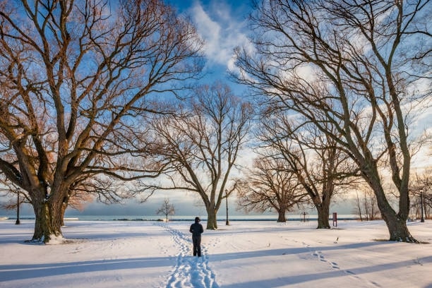 Winter (December - March)