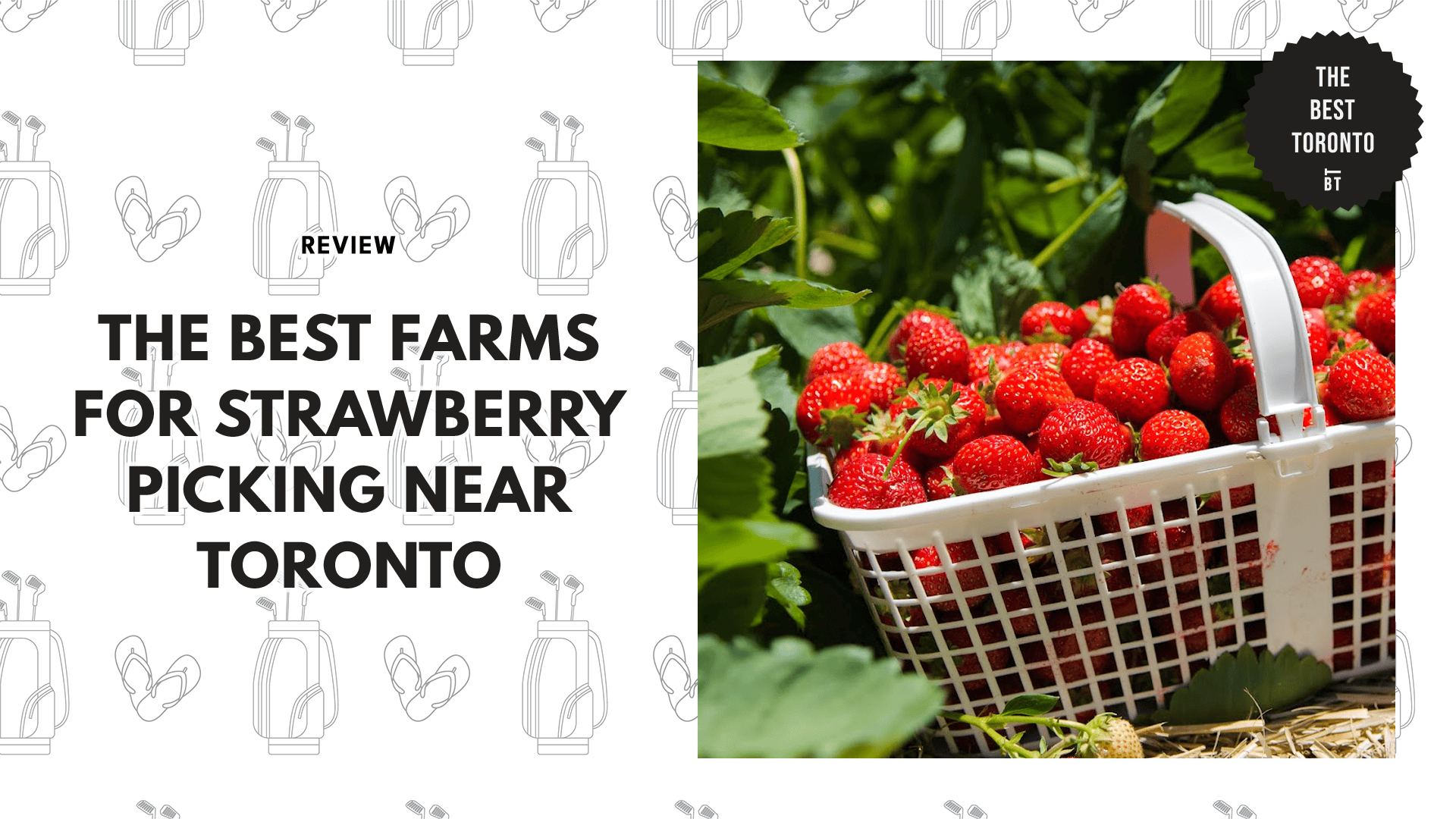 strawberry-picking-toronto
