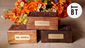 Best Animal Cremation Services in Toronto
