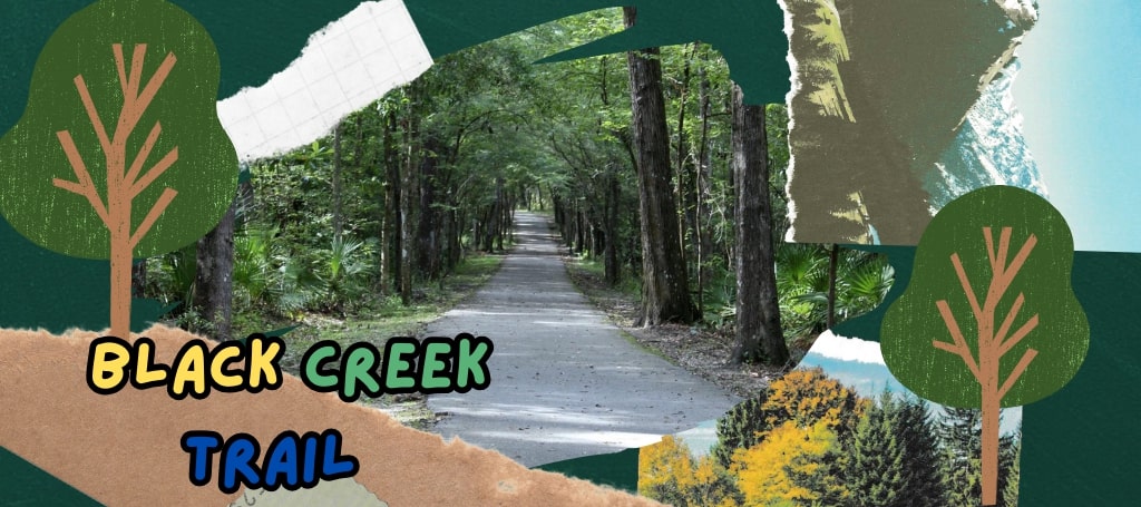 Black Creek Trail