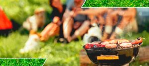 Have a BBQ or a picnic