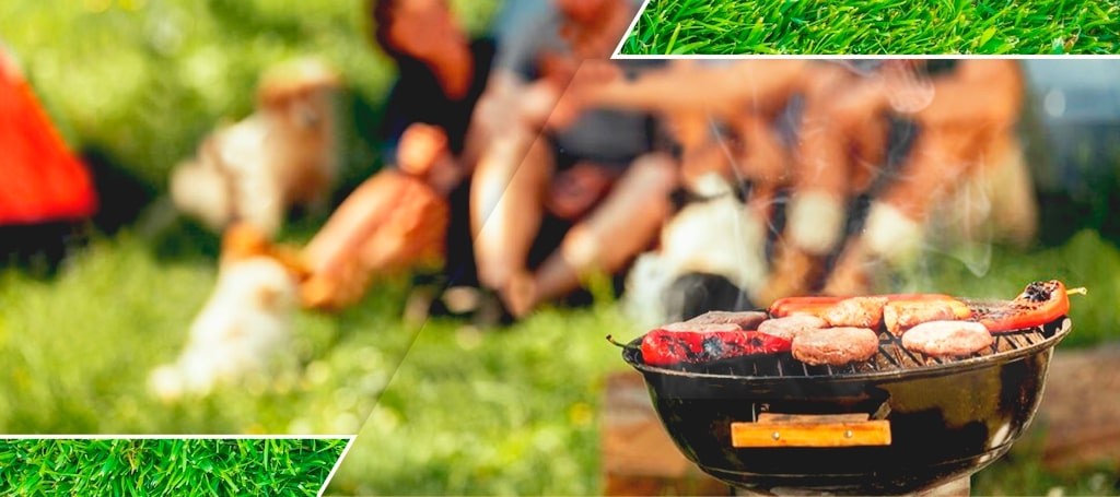 Have a BBQ or a picnic