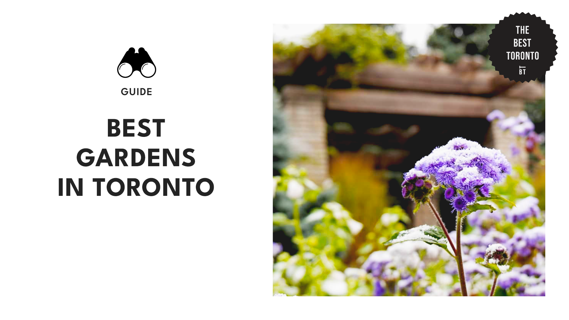 The Most Enchanting Public Gardens in Toronto