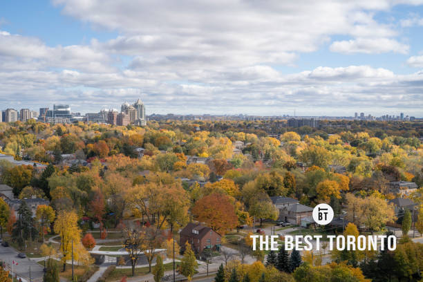 15 Instagrammable Places in North York