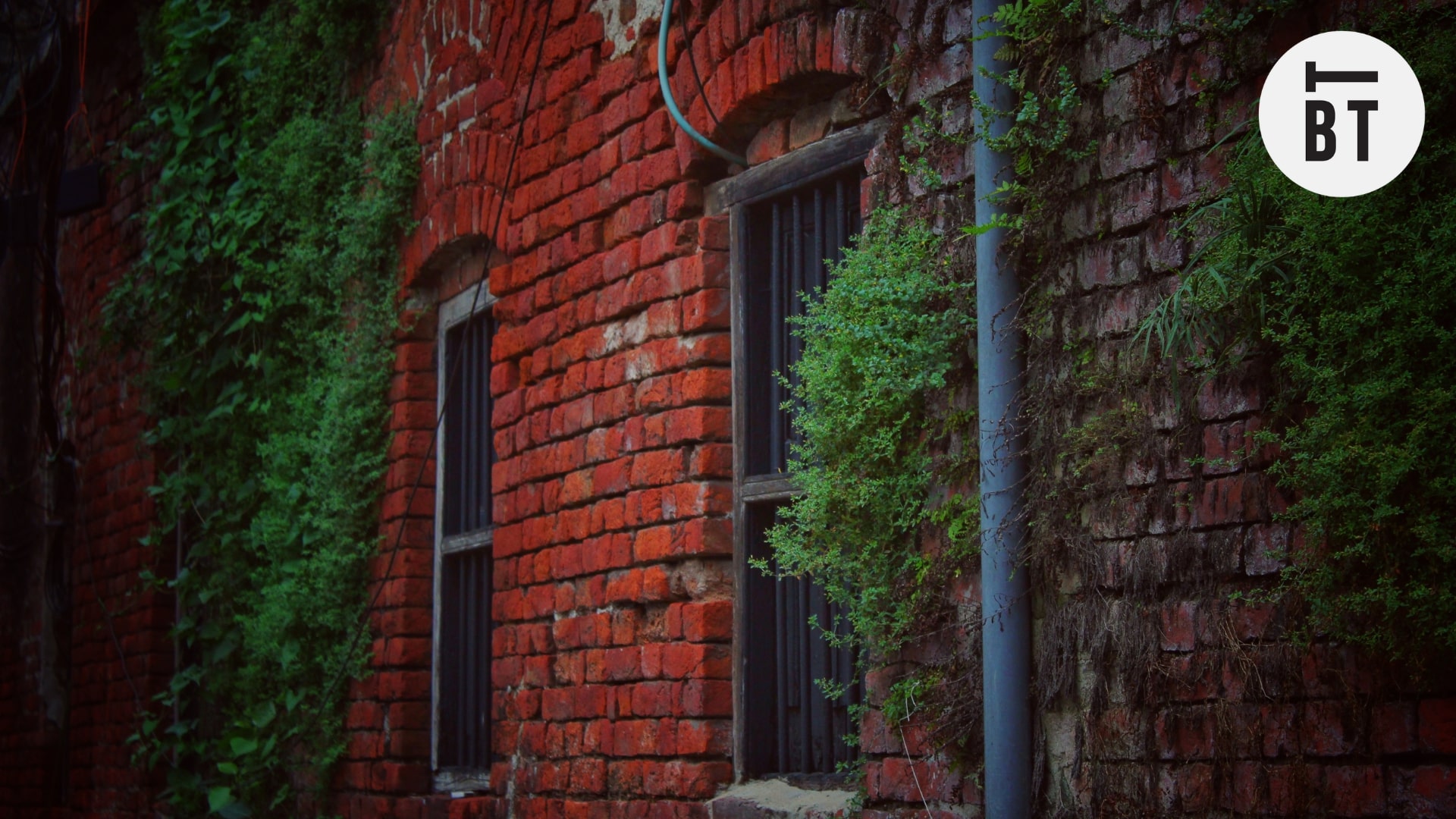 Best Family-Friendly Activities at the Evergreen Brick Works