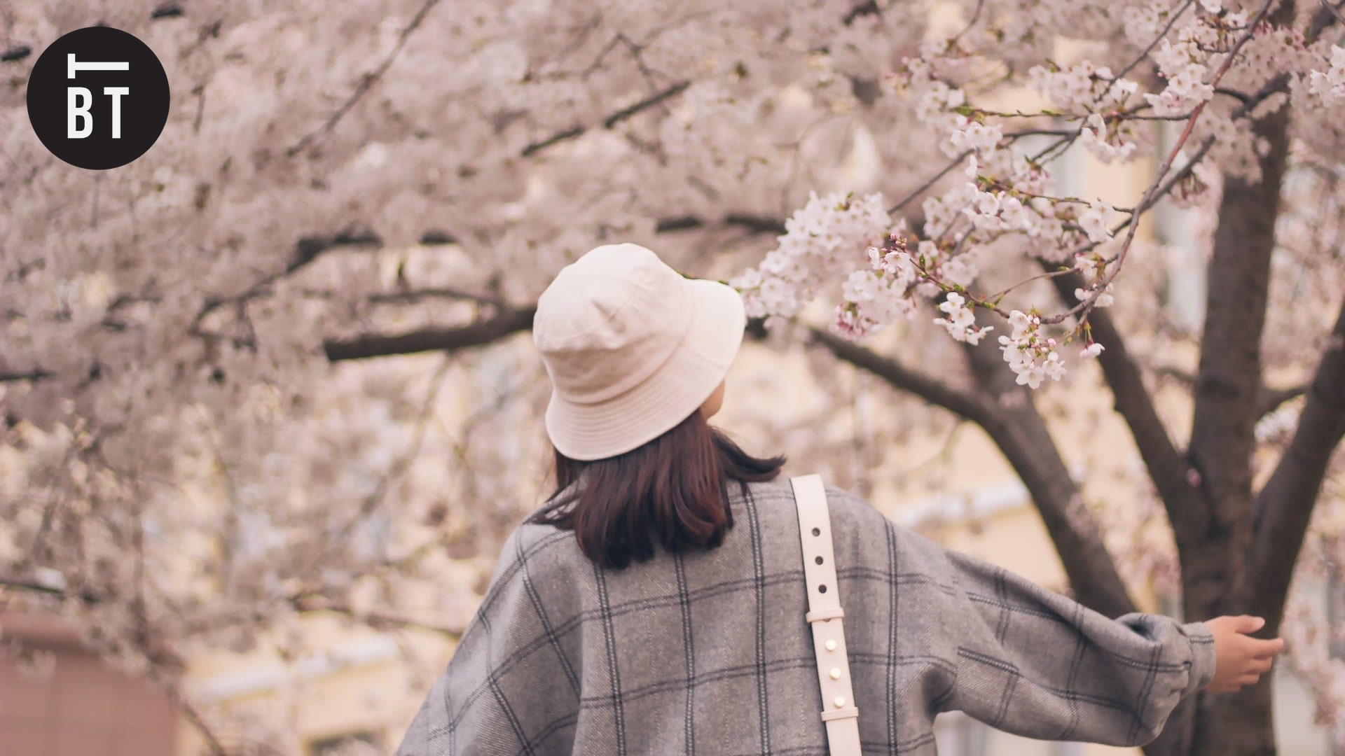 The Lovers’ Guide to Dating in Toronto During Spring