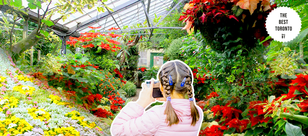 Admire the flowers