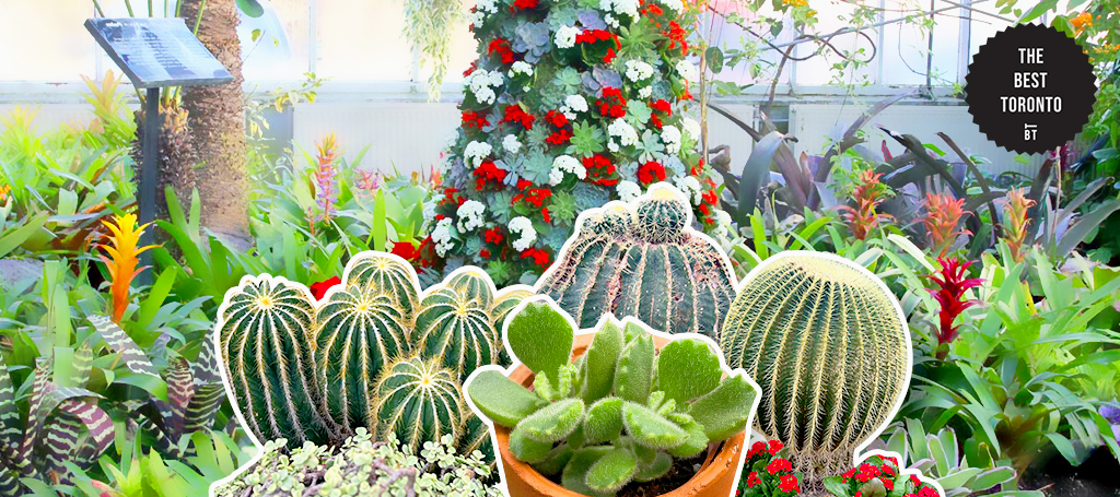 Explore the greenhouses