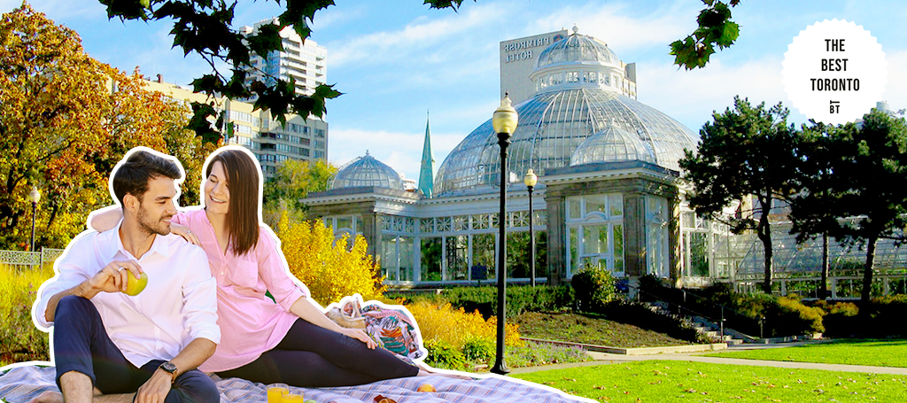 Have a picnic lunch