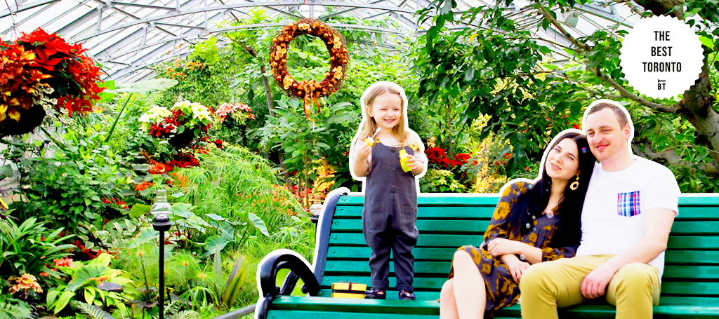 Take a break in the Palm House