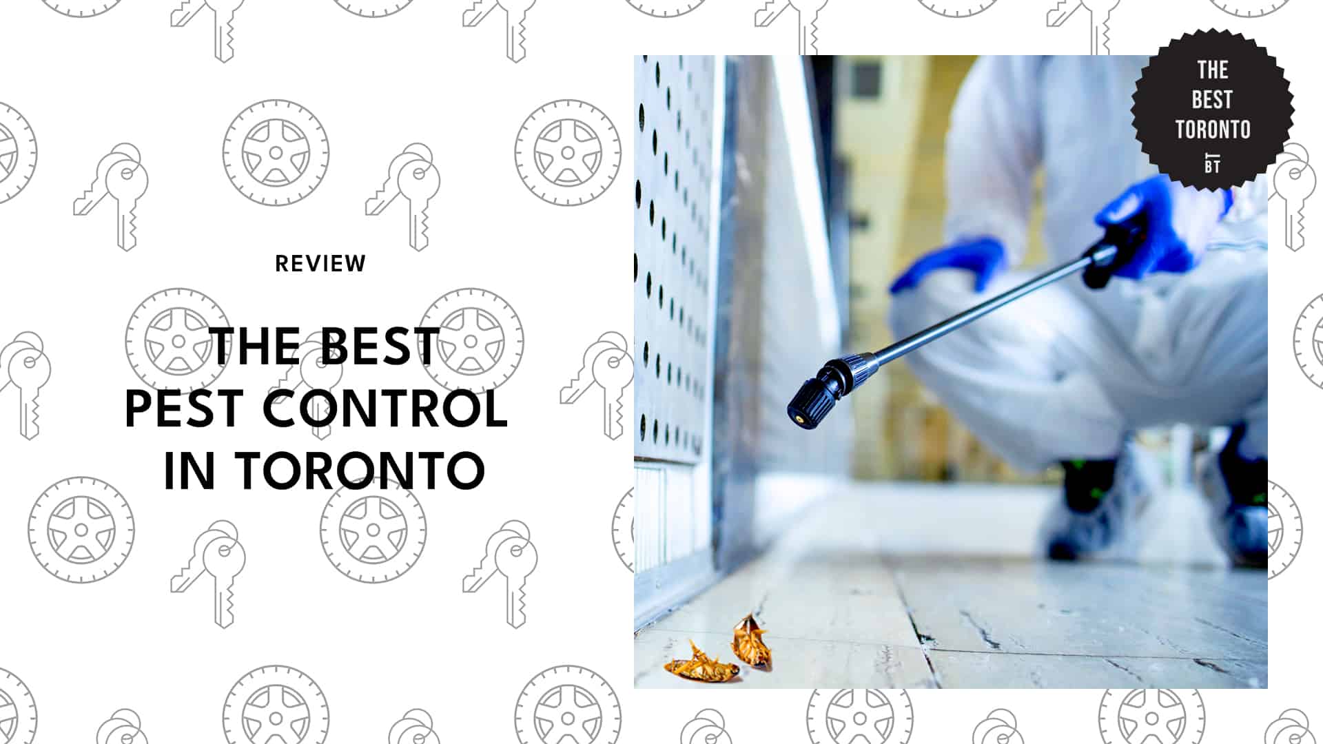 A GUIDE TO THE BEST PEST CONTROL IN TORONTO