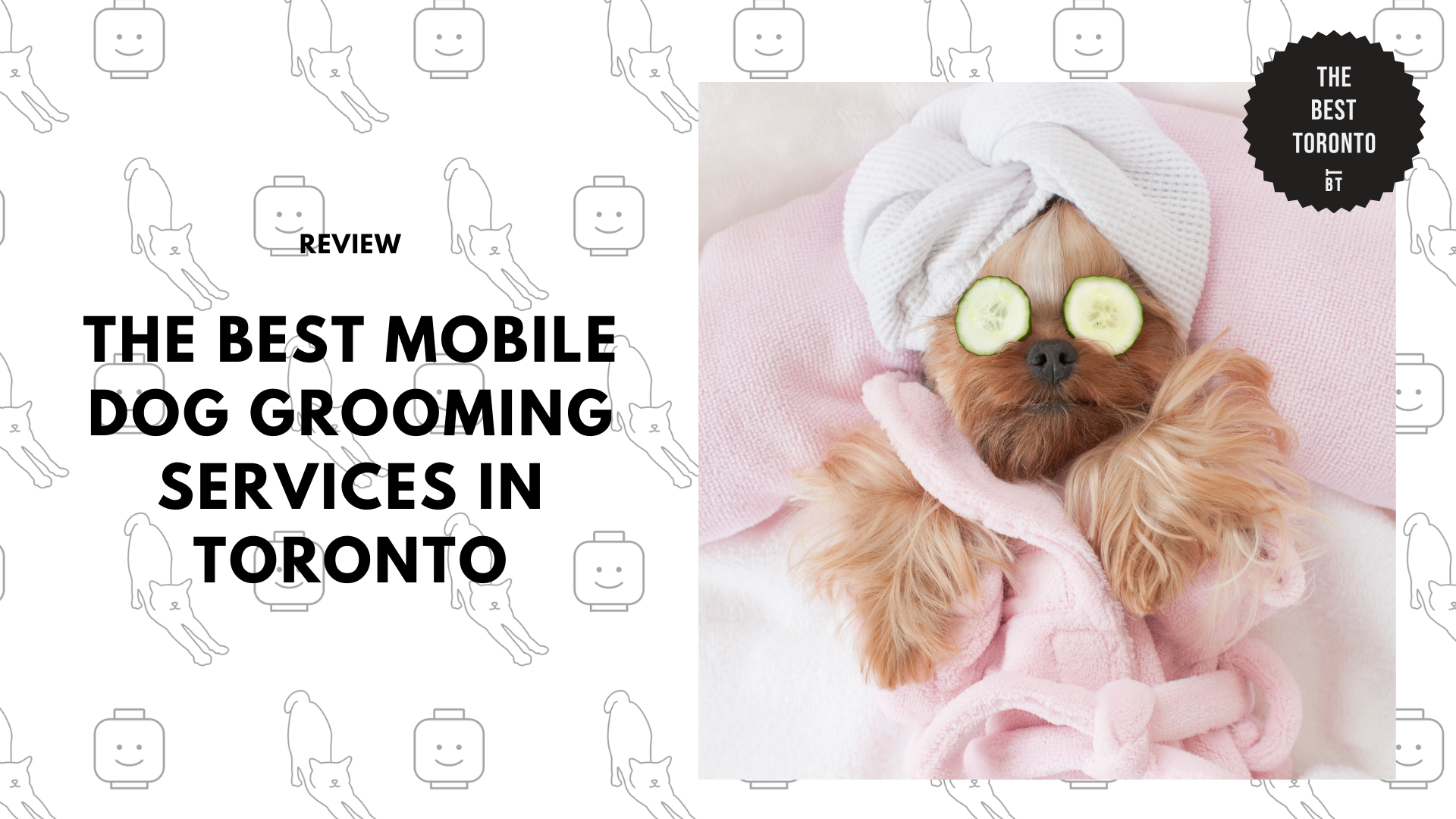 best-mobile-dog-grooming-toronto