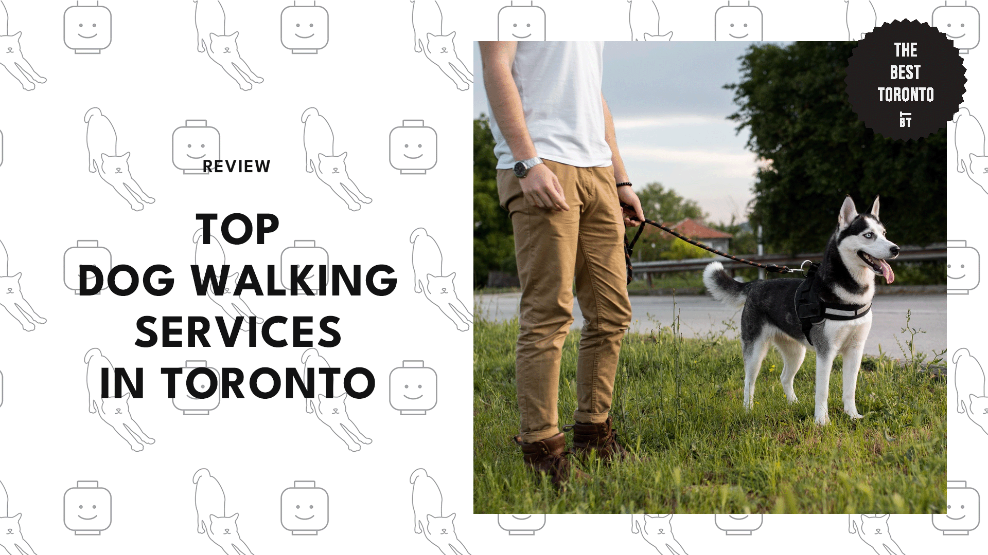 best-dog-walking-services-toronto
