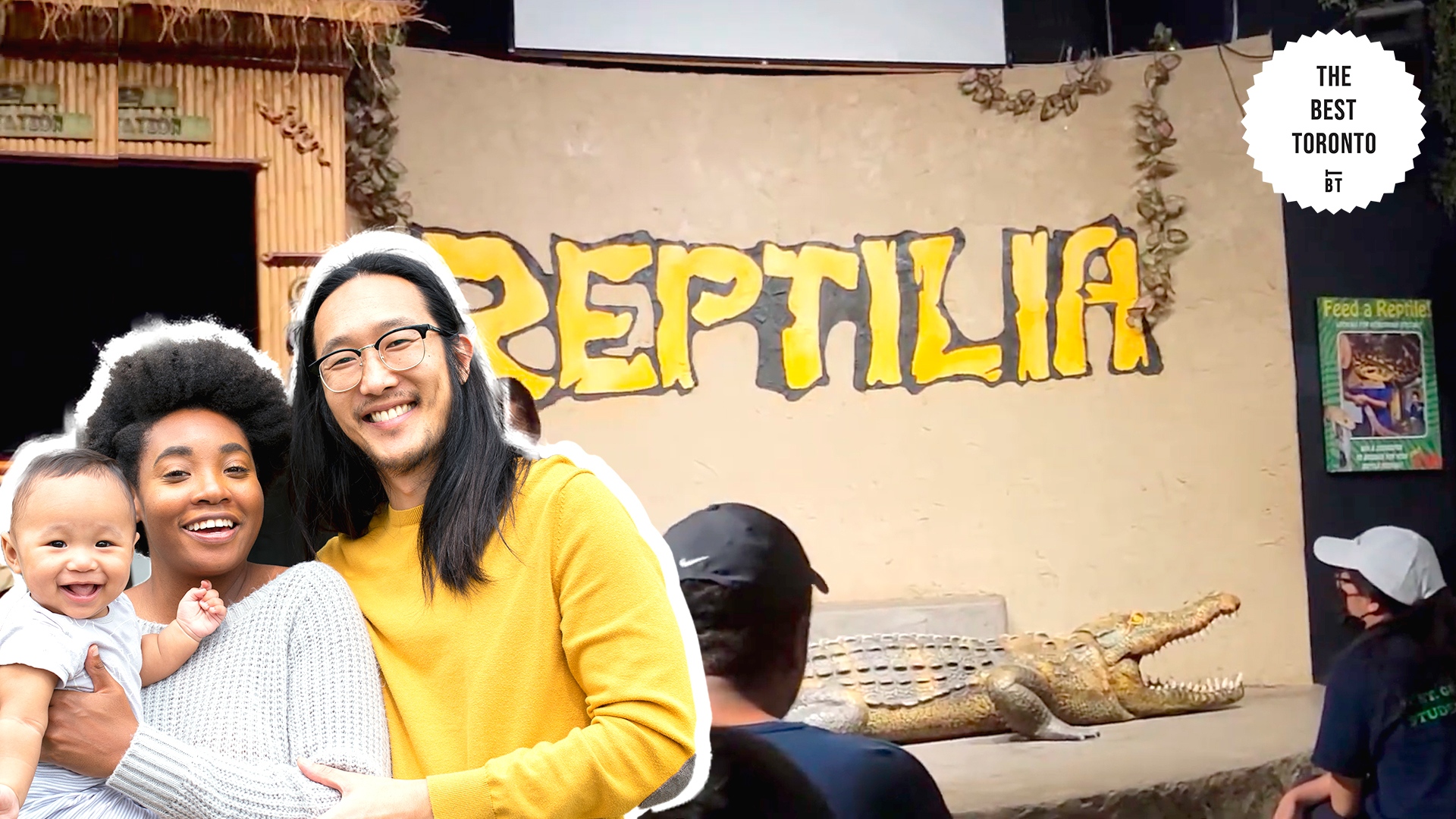 A Local’s Guide to an Unforgettable Reptilia Zoo Experience
