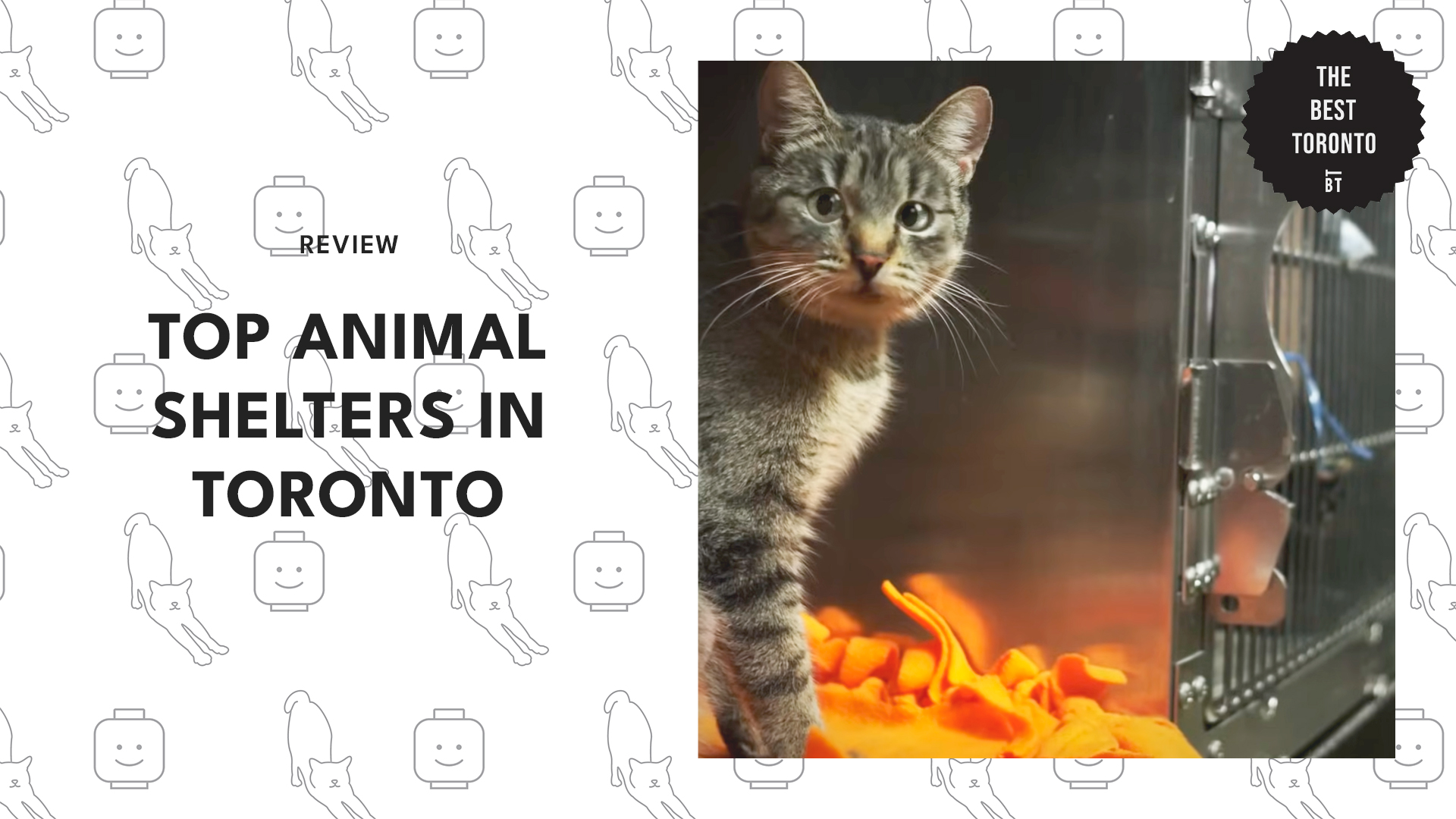 top-animal-shelter-toronto