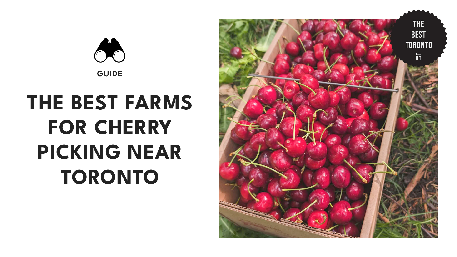 best-cherry-picking-farms-toronto