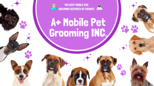 a-mobile-pet-grooming-inc