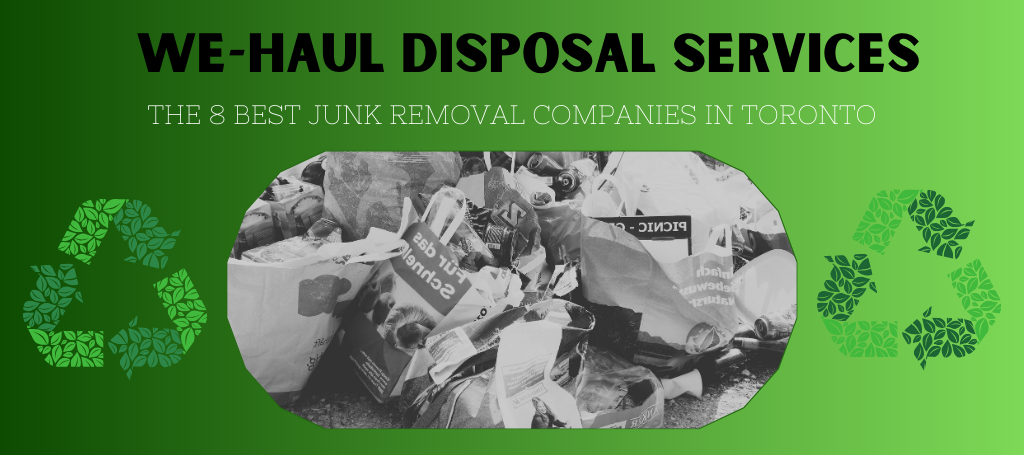 we-haul-disposal-services