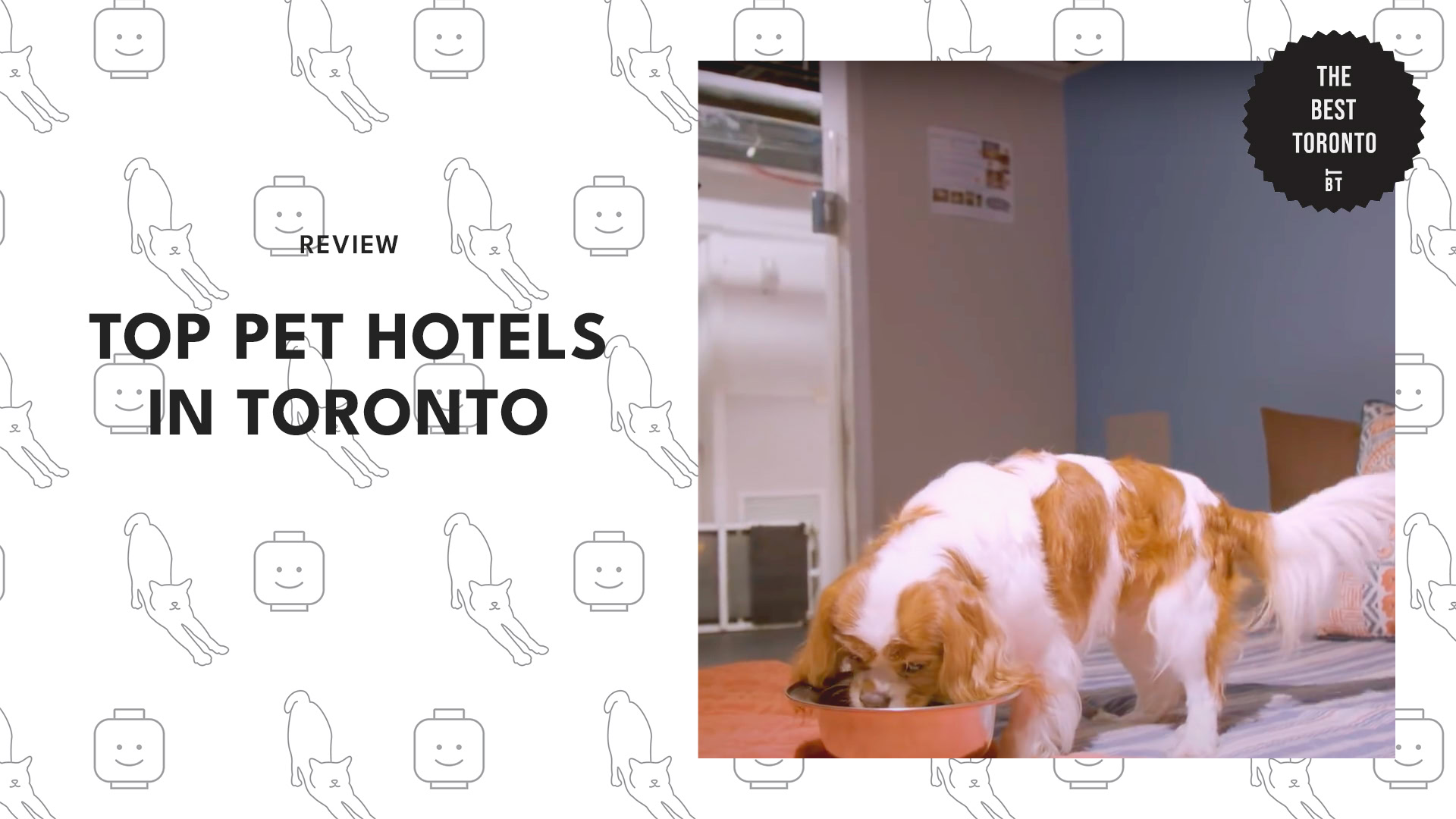 best-pet-hotels-toronto-banner