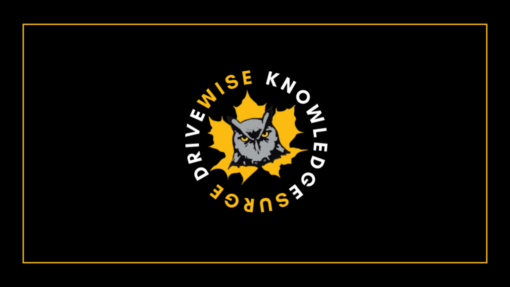drivewise