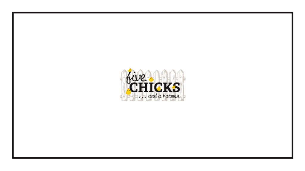 5-chicks-and-a-farmer