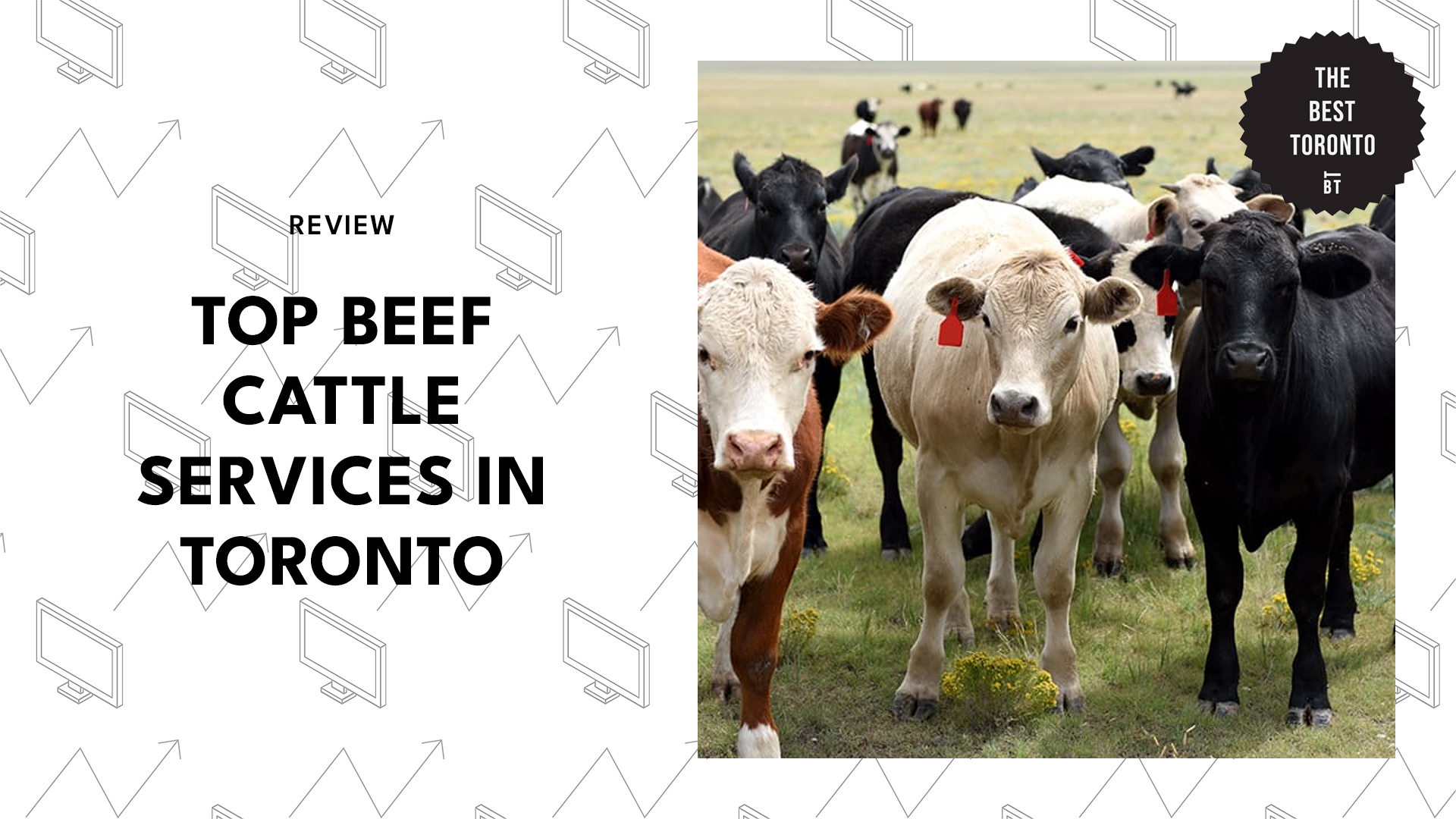 top-beef-cattle-services-toronto
