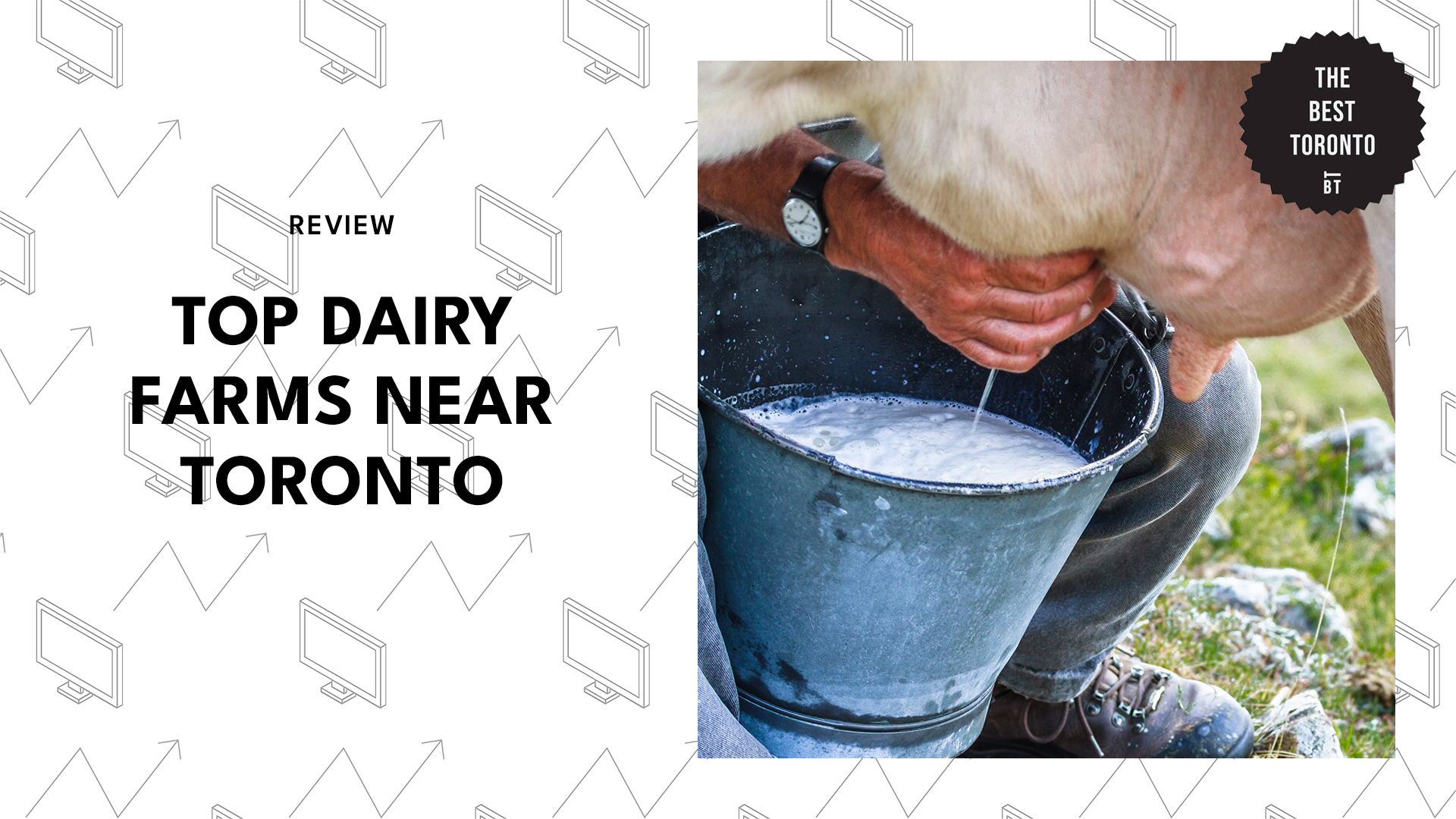 top-dairy-farms-near-toronto