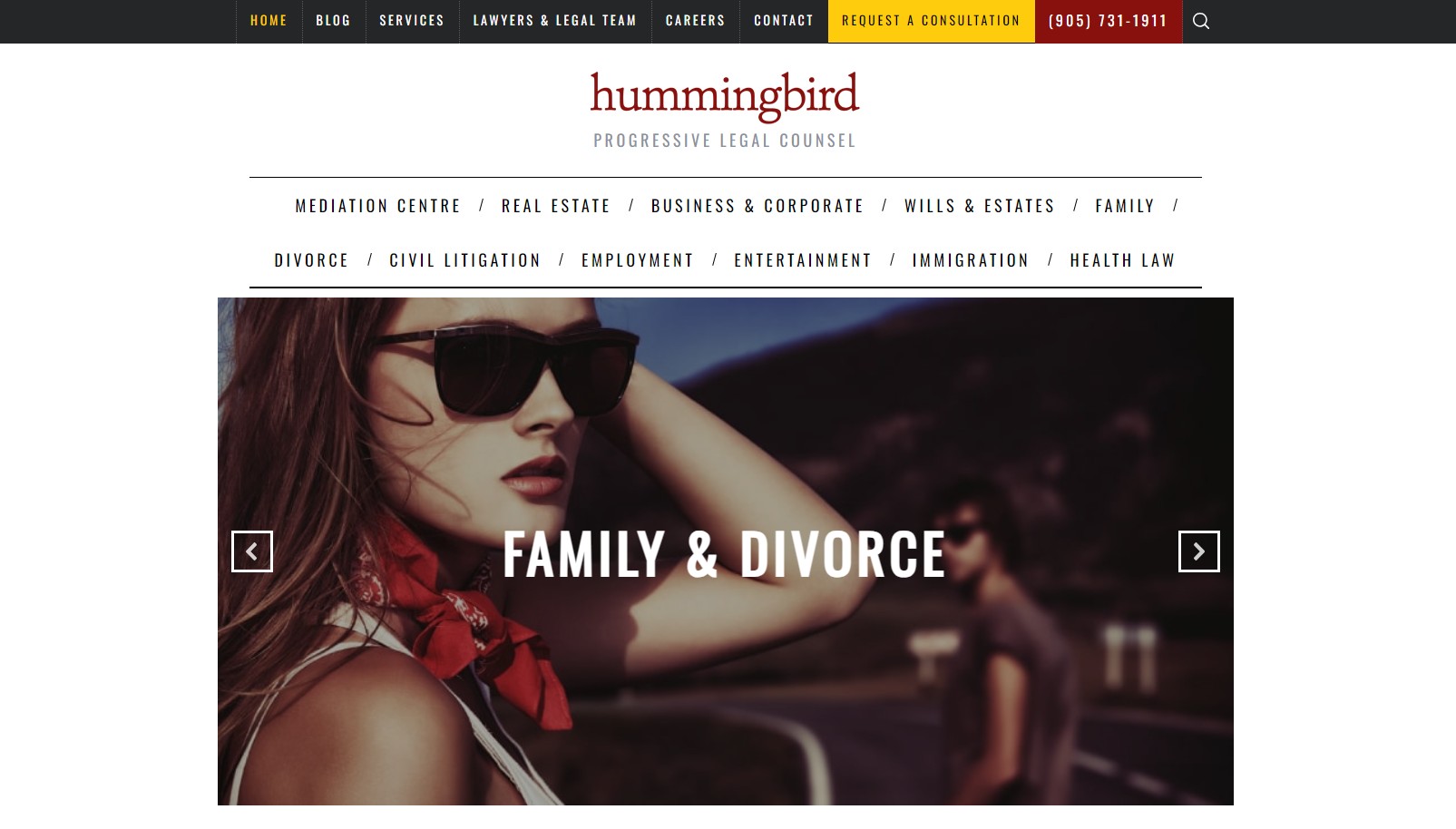 humming bird law homepage