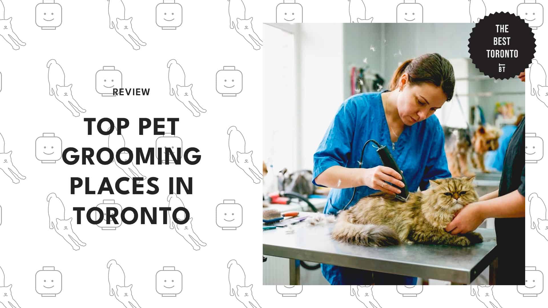top-pet-grooming-toronto-banner