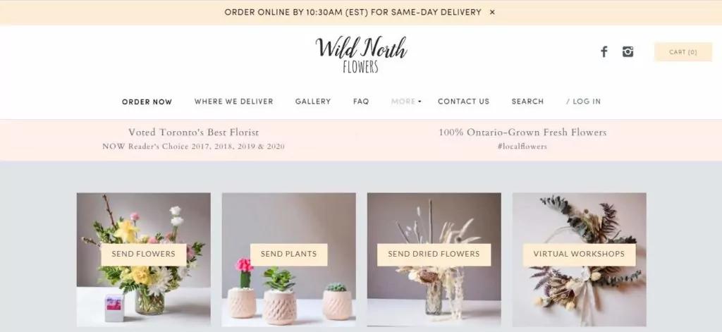 Wild North Flowers' Homepage
