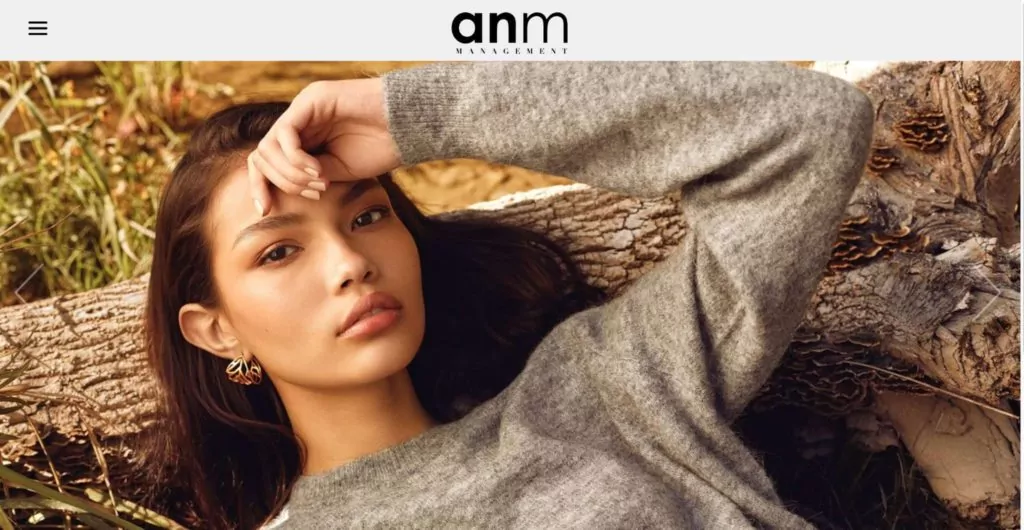 ANM Management's Homepage