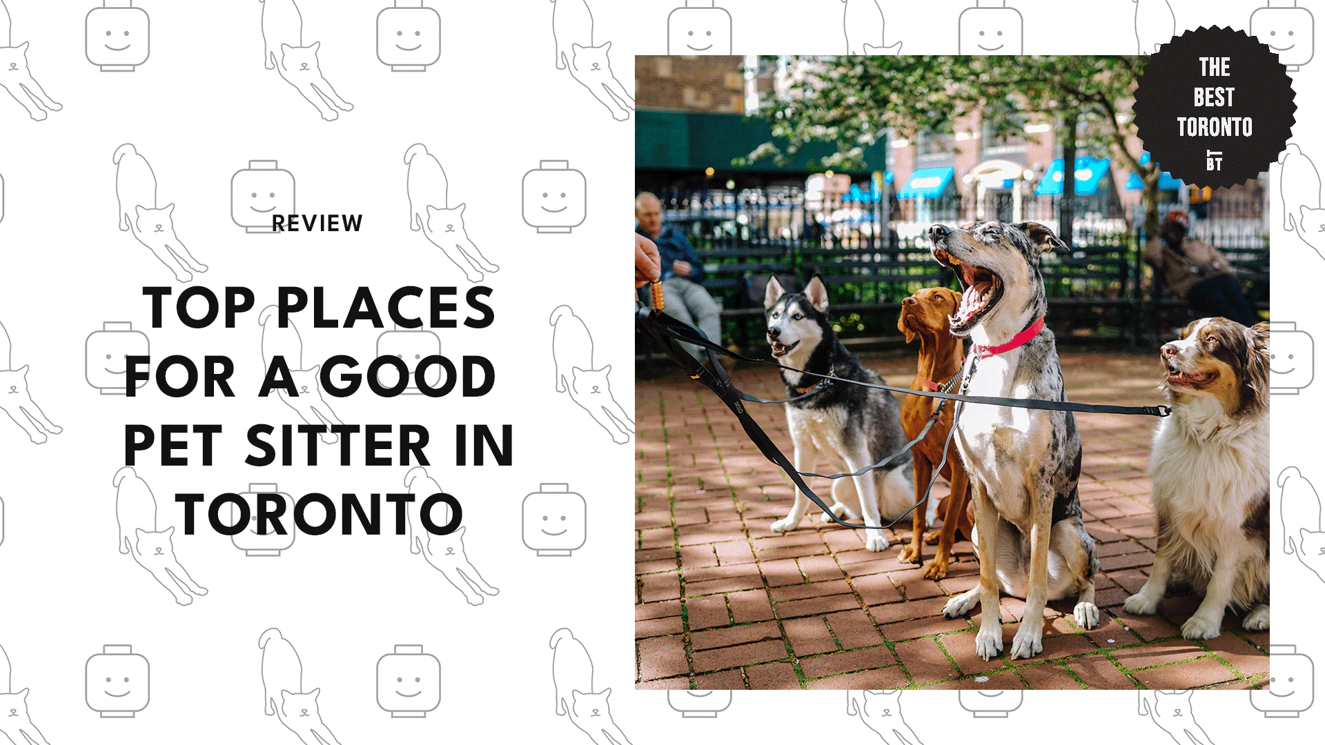 THE TOP 5 PLACES FOR A GOOD PET SITTER IN TORONTO