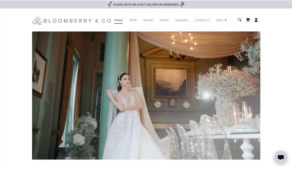 Bloomberry & Co. Homepage