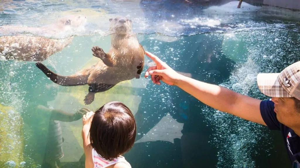 Edmonton Valley Zoo Homepage