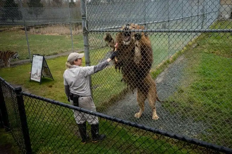 Greater Vancouver Zoo Homepage