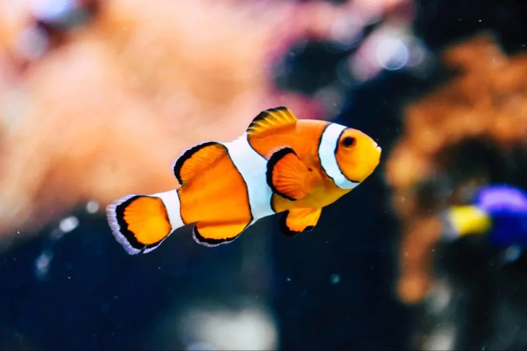 Ripley's Aquarium of Canada Homepage