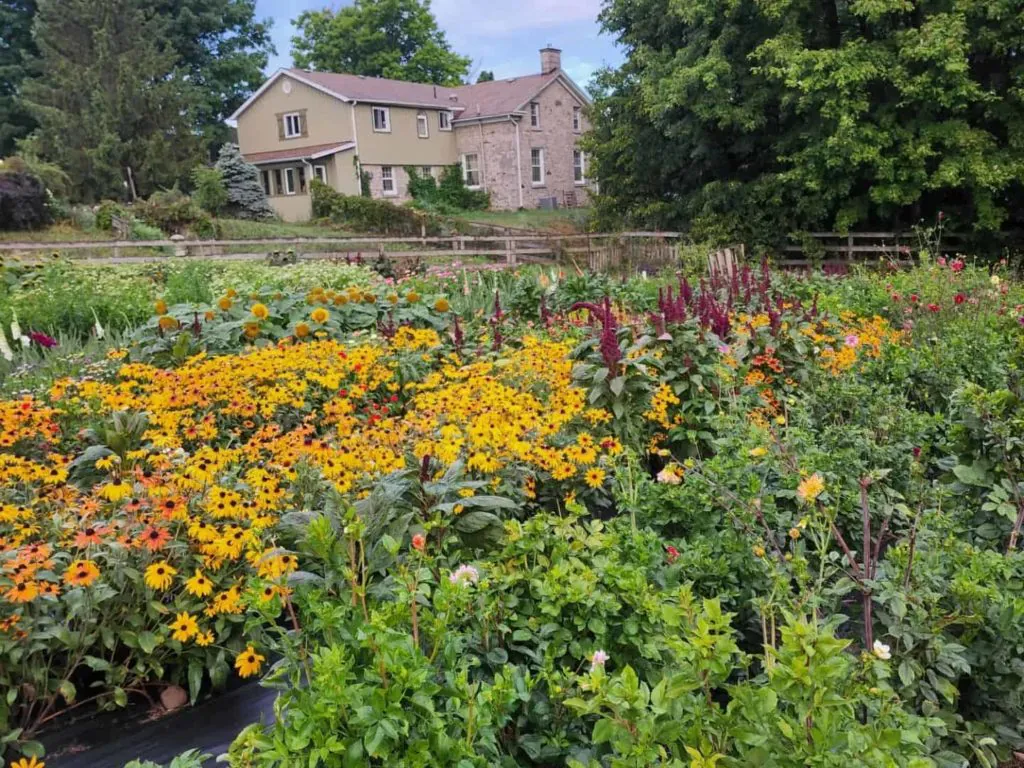 Lochland Botanicals