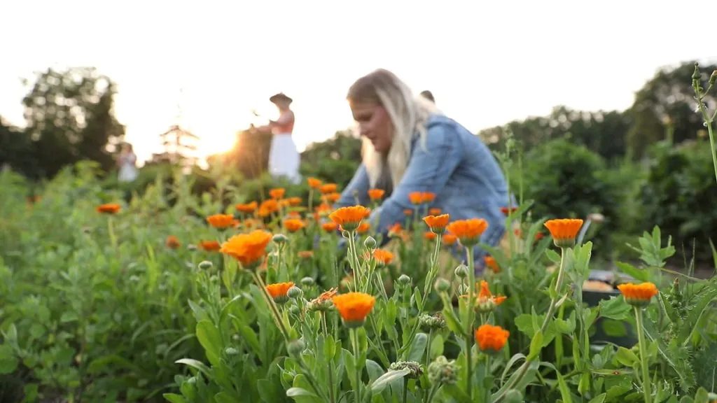 Makkink’s Flower Farm