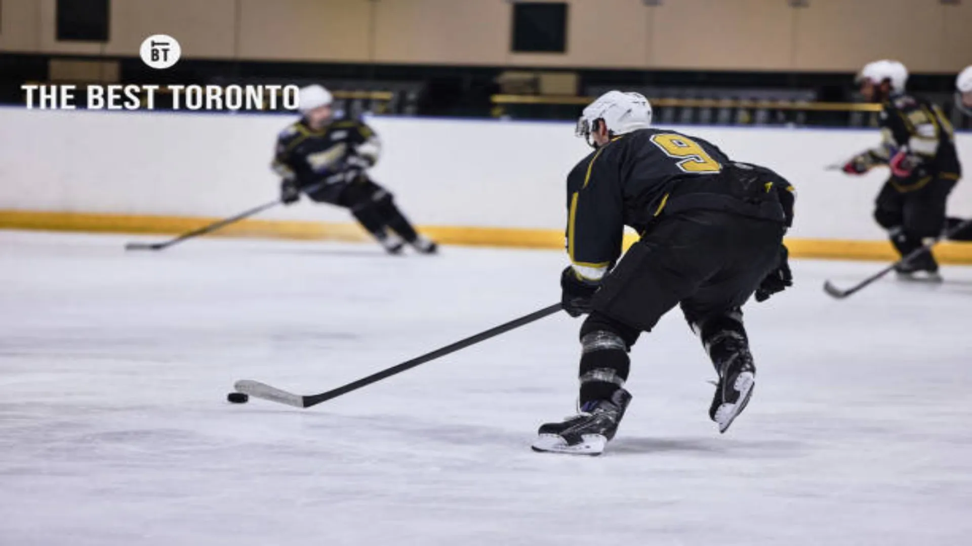 Where to Get Toronto Maple Leaf Hockey Tickets in Toronto