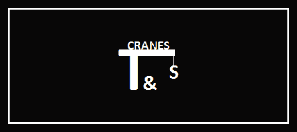 TONY & SONS CRANES's Banner