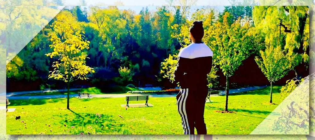 Take a walk through the gardens